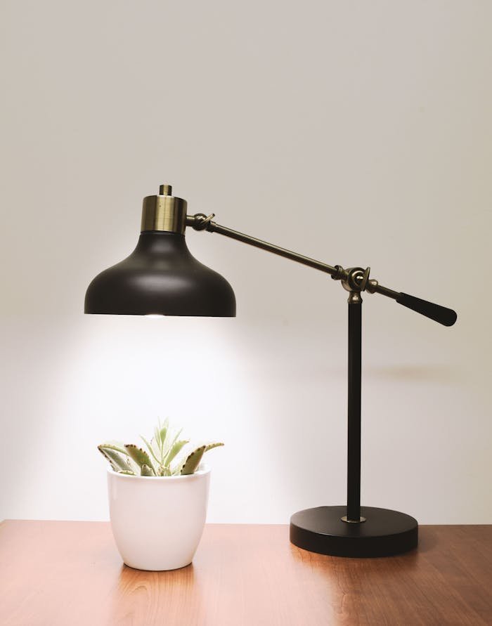 Minimalistic desk lamp illuminating a succulent on a wooden table, perfect for interior design inspiration.